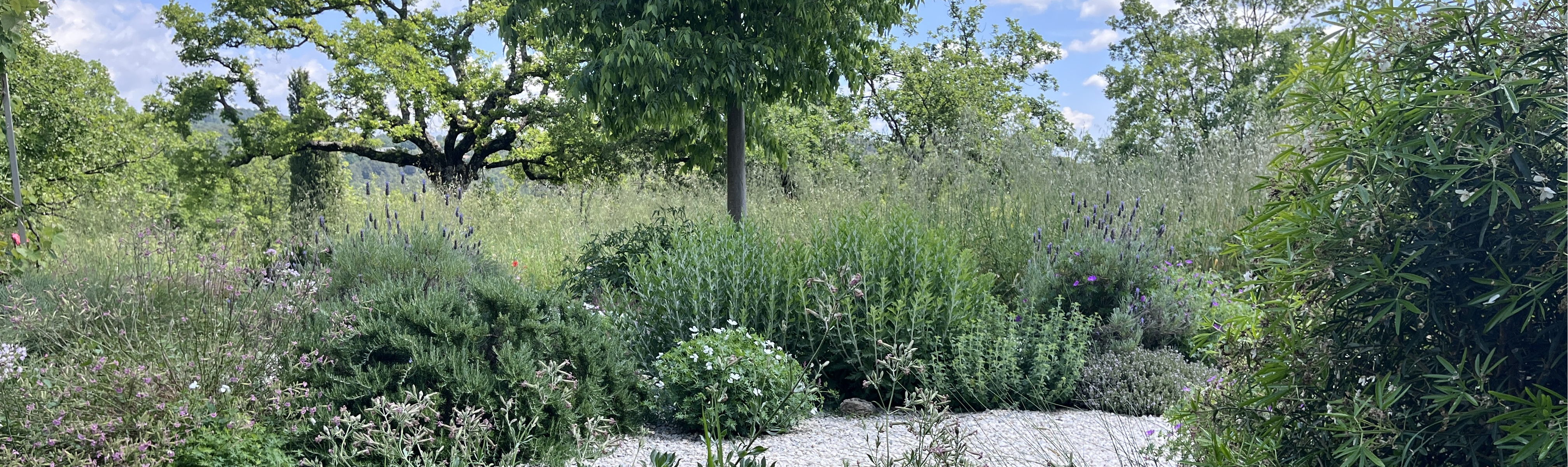 Pépinière de la Rouvière producteur de plantes pour jardins secs